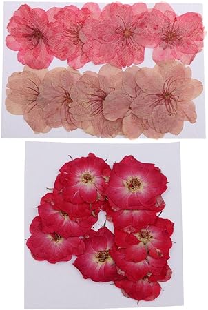 Amazon Co Jp ドライフラワー 押し花 乾燥花 桜の花 バラの花 フレーム 枚入り ホーム キッチン