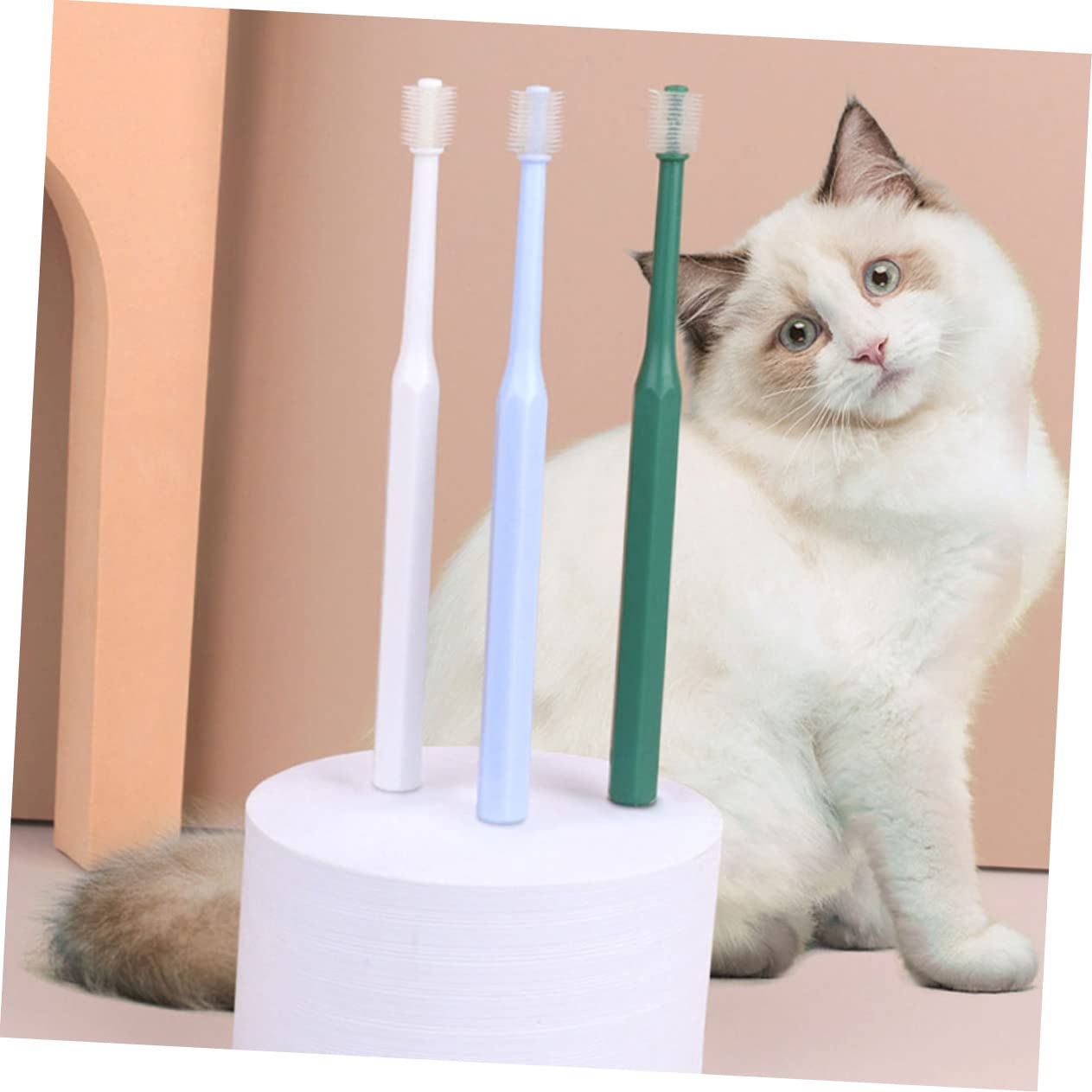 INOOMP 12stücke Teiliges -zahnbürsten Hunde Und Katzen Oral Ergonomisches Design Sanfte Zahnreinigung Für Gesundes Zahnfleisch Für Kleine Haustiere