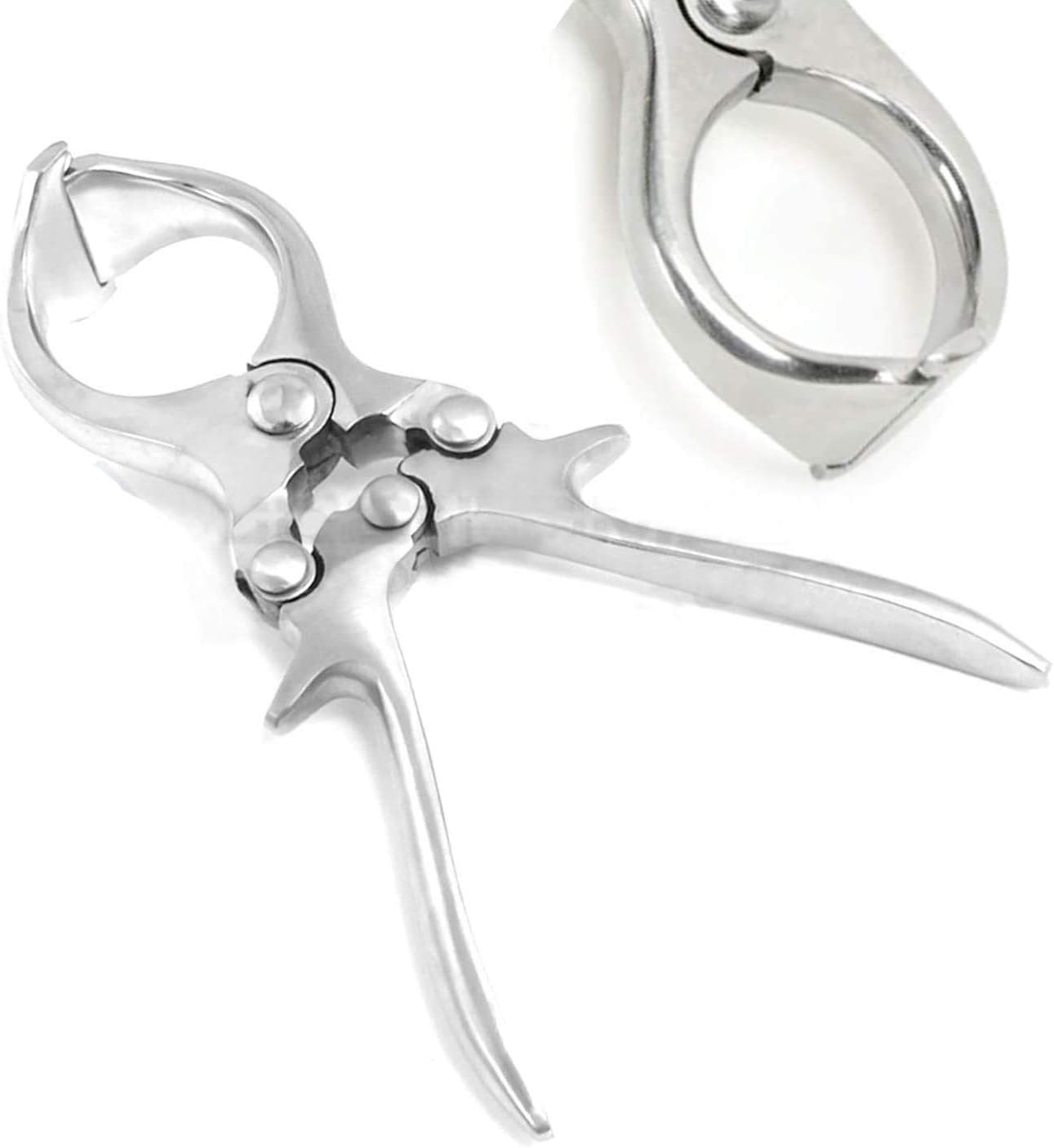 OdontoMed2011® Castration Plier, Burdizzo Style, Stainless Steel 9 Inches Length ODM