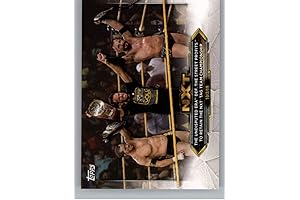 2020 Topps WWE NXT #34 The Undisputed ERA
