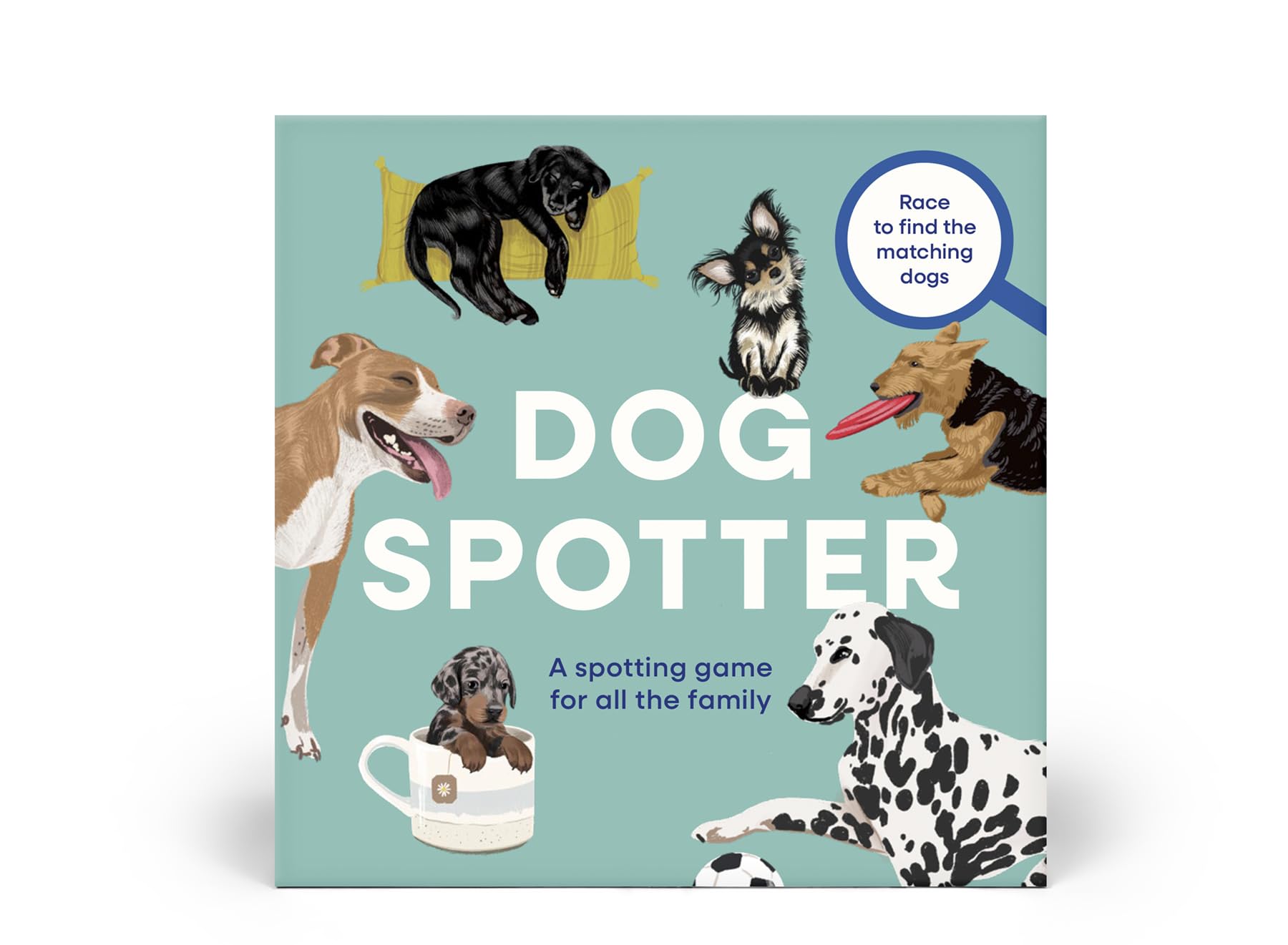 Dog Spotter: A spotting game for all the family - Race to find the matching dogs