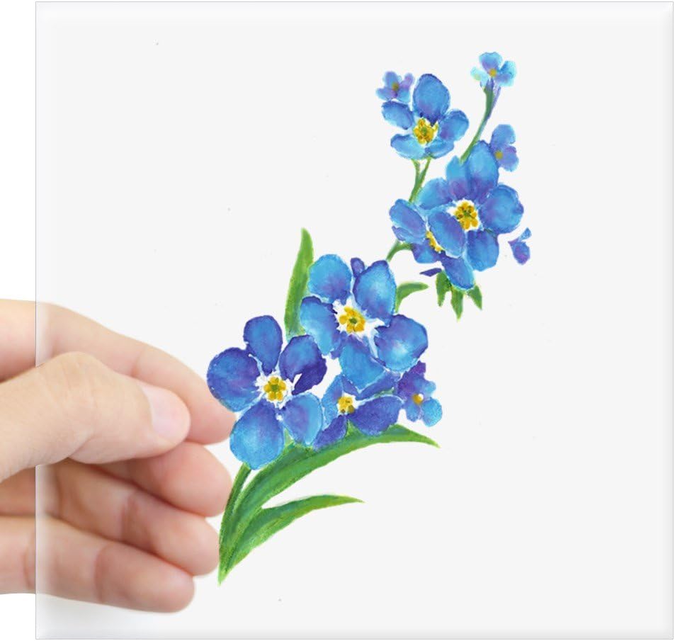 Cafepress Forget Me Not Flower Watercolor Painting Sticker Square Bumper Sticker Car Decal 3 X3 Small Or 5 X5 Large Amazon Co Uk Automotive