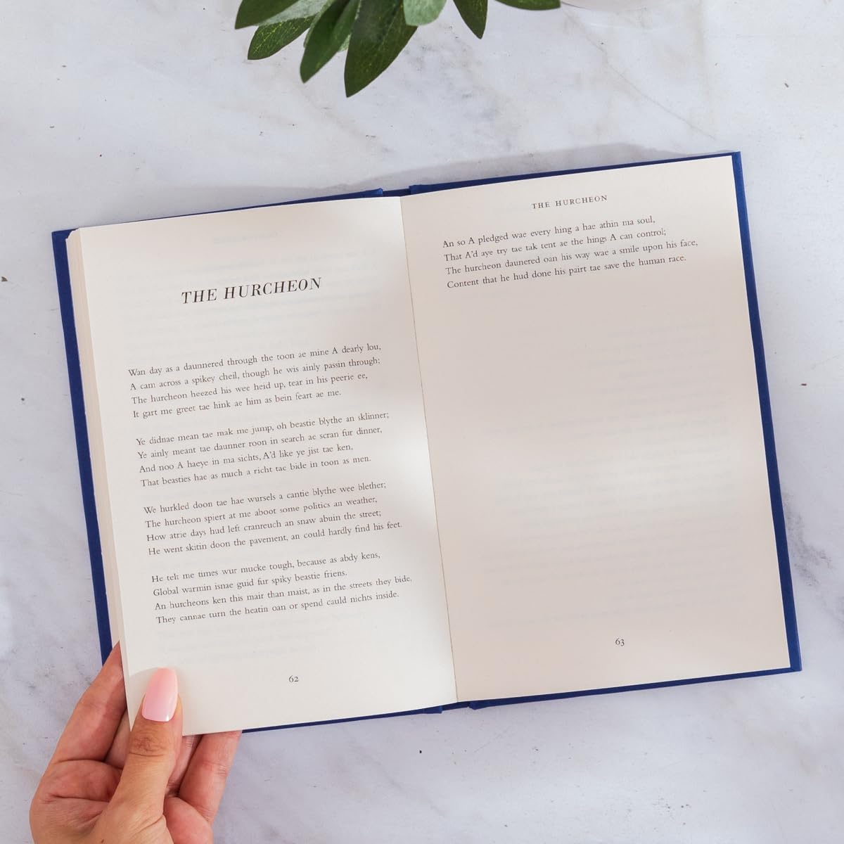 poyums annaw: The Instant Sunday Times Bestseller