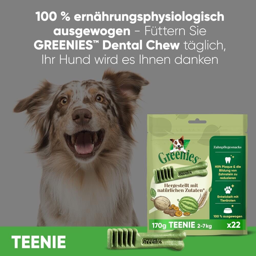 GREENIES Zahnsticks für sehr kleine Hunde von 2 bis 7 kg – 258 Kaustäbchen (6 x 340 g) – Leckerli Zertifiziert von Tierärzten für die Mundhygiene bei Hunden, frischem Atem