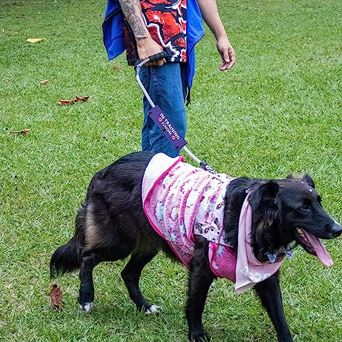 Patch de distanciation Training Ignore écharpe de laisse pour chien réactif - 8