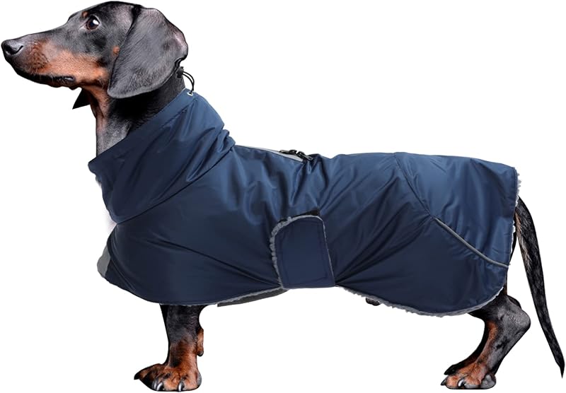 Dachshund Coats Waterproof, Perfect for Dachshunds, Sausage, Weiner Dog Winter Coat with Padded Fleece, Puppy Snowsuit with Adjustable Bands and High Vis Reflective Trim - Navy - M