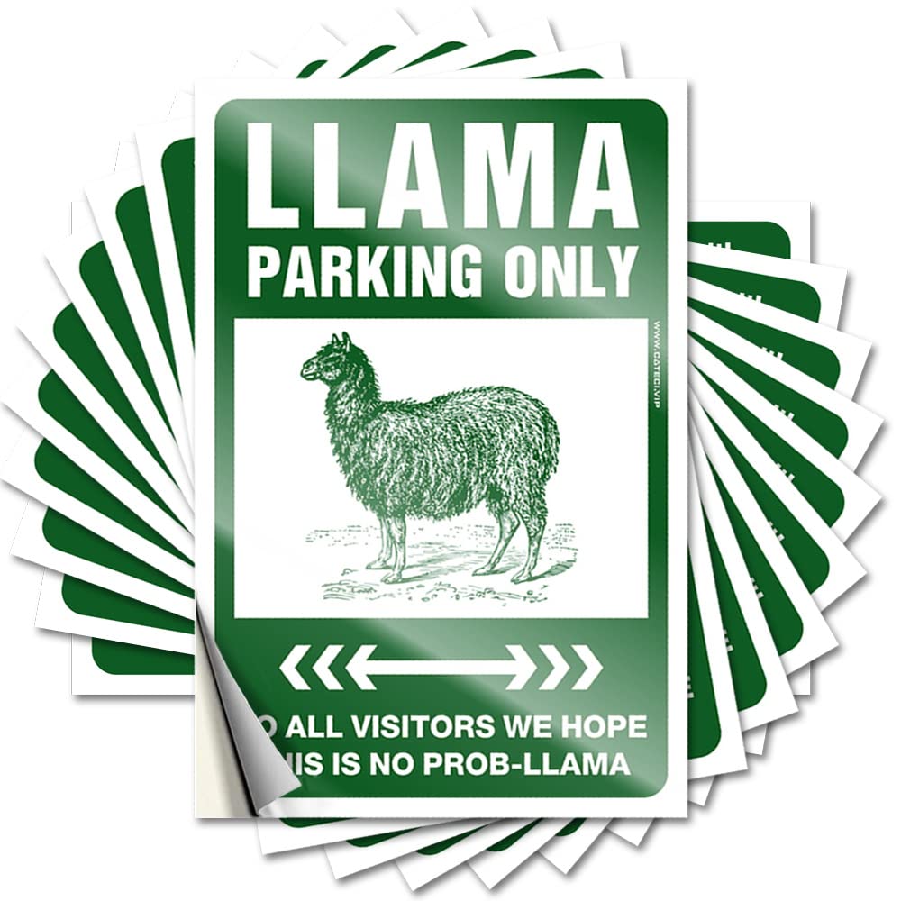 Car Stickers Funny Warning My Sense of Humor Might Hurt Your Feelings! Funny Sticker 10 Pcs Funny Bumper Stickers Inappropriate Stickers(12X18CM)