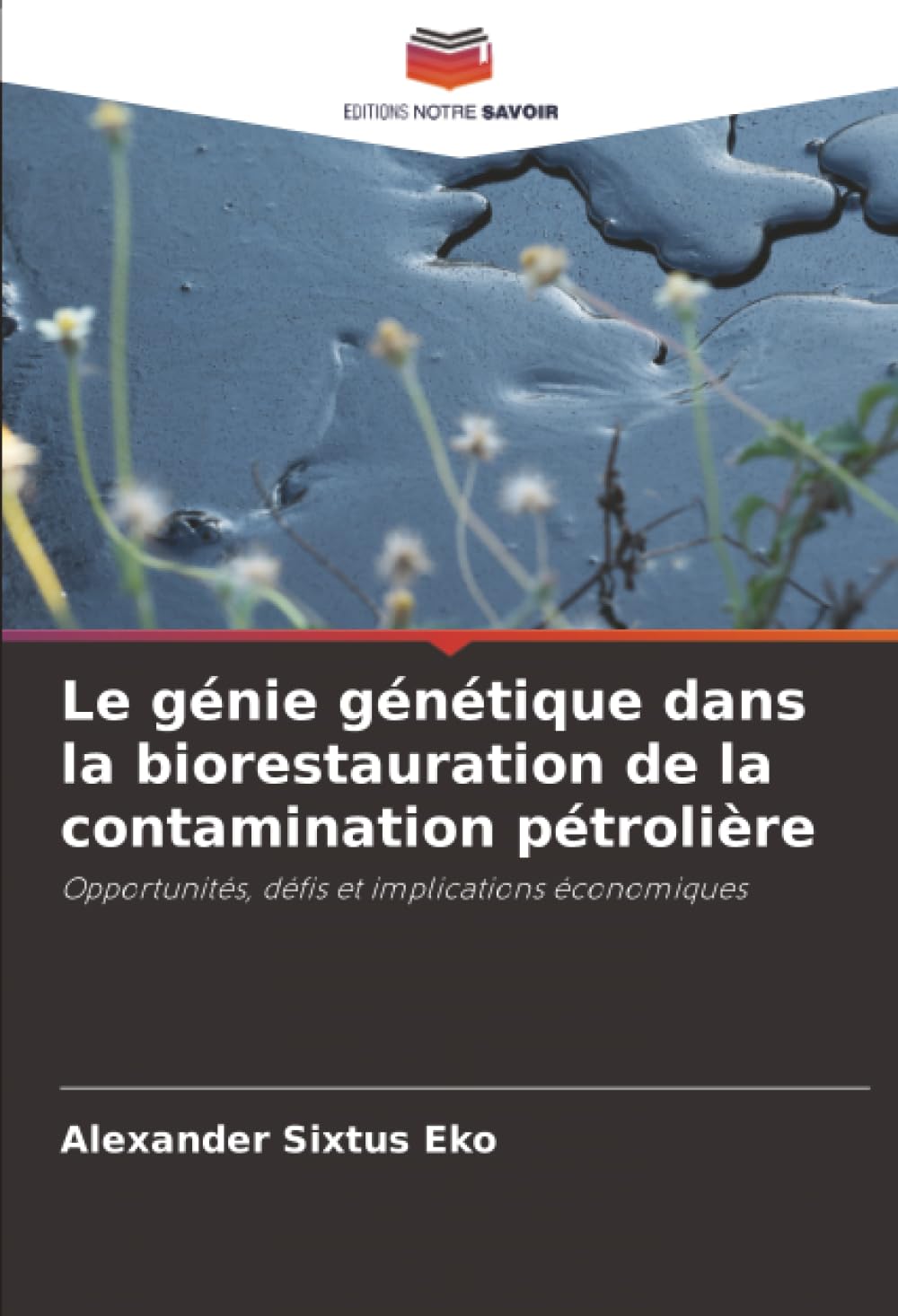 Le génie génétique dans la biorestauration de la contamination pétrolière: Opportunités, défis et implications économiques