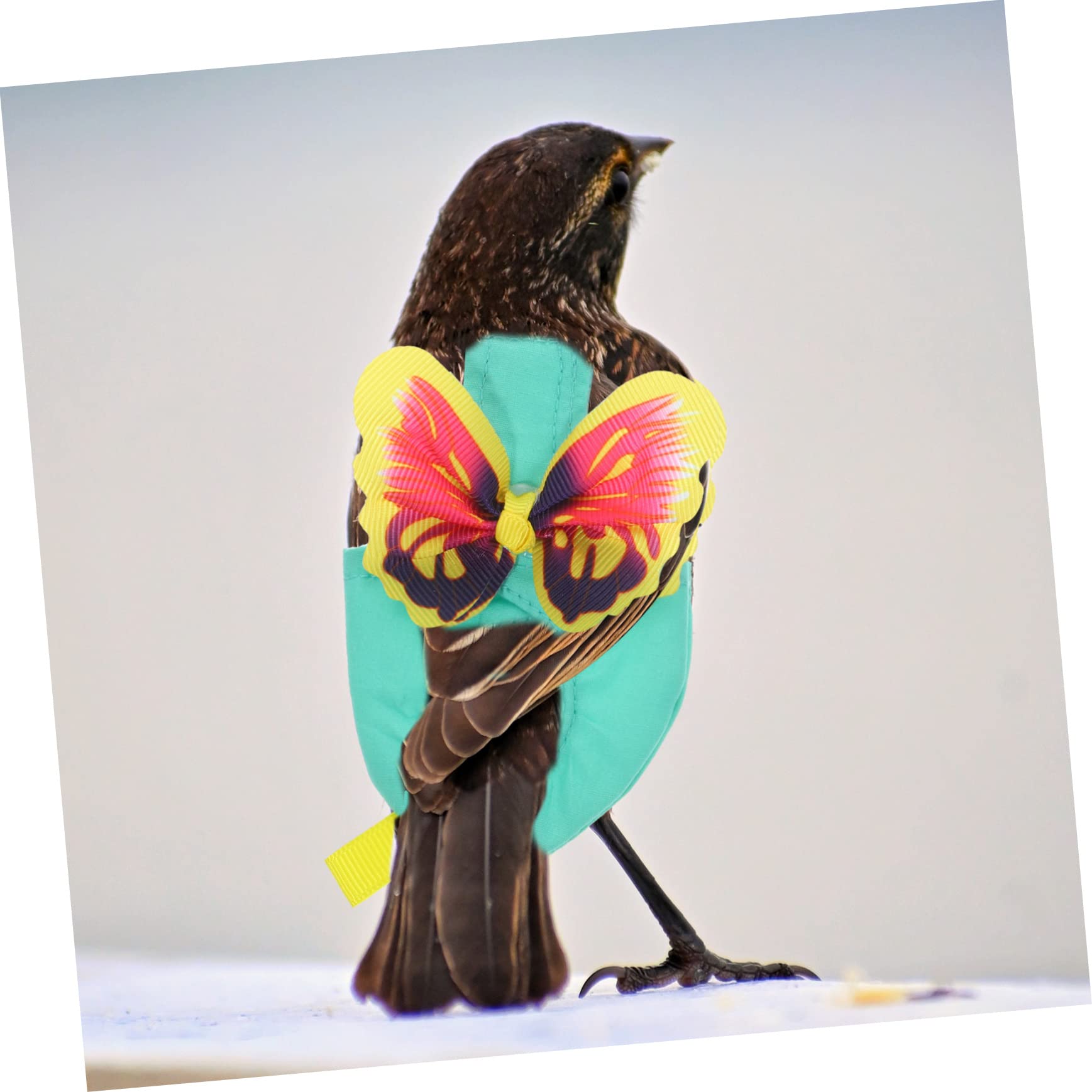 Happyyami 5sätze Fluganzug Mit Wiederverwendbare Vogelwindeln Für Sittiche Bequeme Und Praktische Vogelkleidung Für Flugfreiheit Und Schutz Bunten Designs Erhältlich