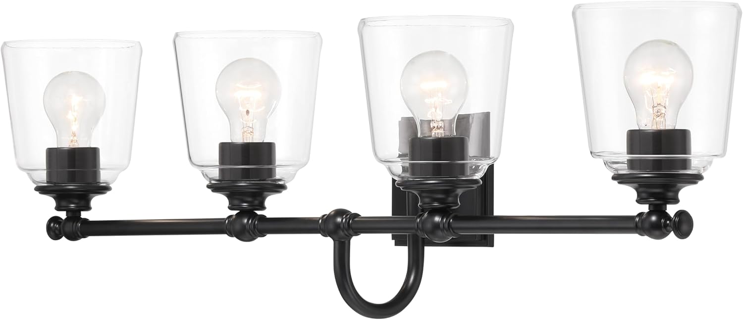 Minka Lavery 4004-66A Antonia Vanity, 4 A19 Medium E26 Socket(s), Coal (Bulbs Not Included)
