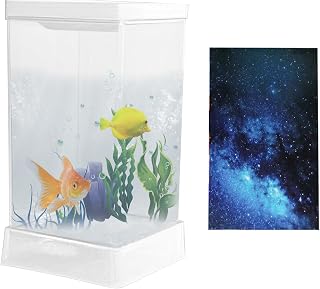 Kleines Kampffisch-Aquarium Tisch-Zubehör