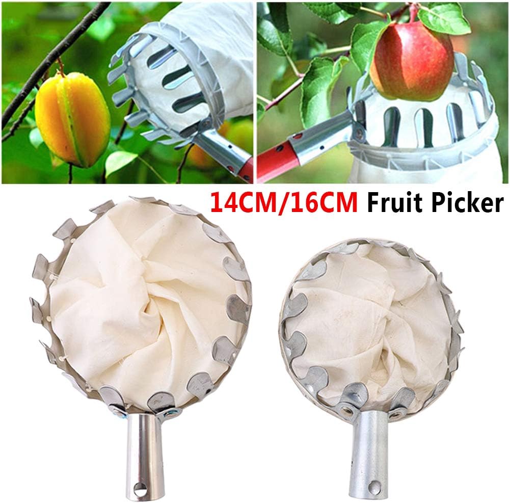 Fruit Picker Head Basket Metal Fruit Picker Agricultural Garden Hardware Tools, Portable Fruits Catcher for Harvest Picking Cherry, Pear and Peach(Size:16cm) image 3