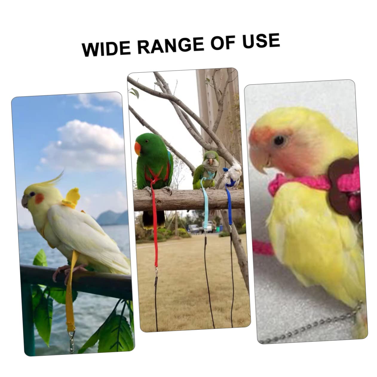 Levemolo Sturdy Bird Pulling Rope for Hamsters Turtles Lizard Leash Pet Tow Rope