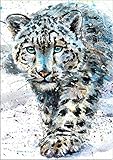 7Dots Art. Wild Animals. Watercolor Art Print, Poster 8'x12' (A4) on Fine Art Thick Watercolor Paper for Living Room, Bedroom, Bathroom, Kid's Room. Wall Art Decor with Animals. (Snow Leopard)