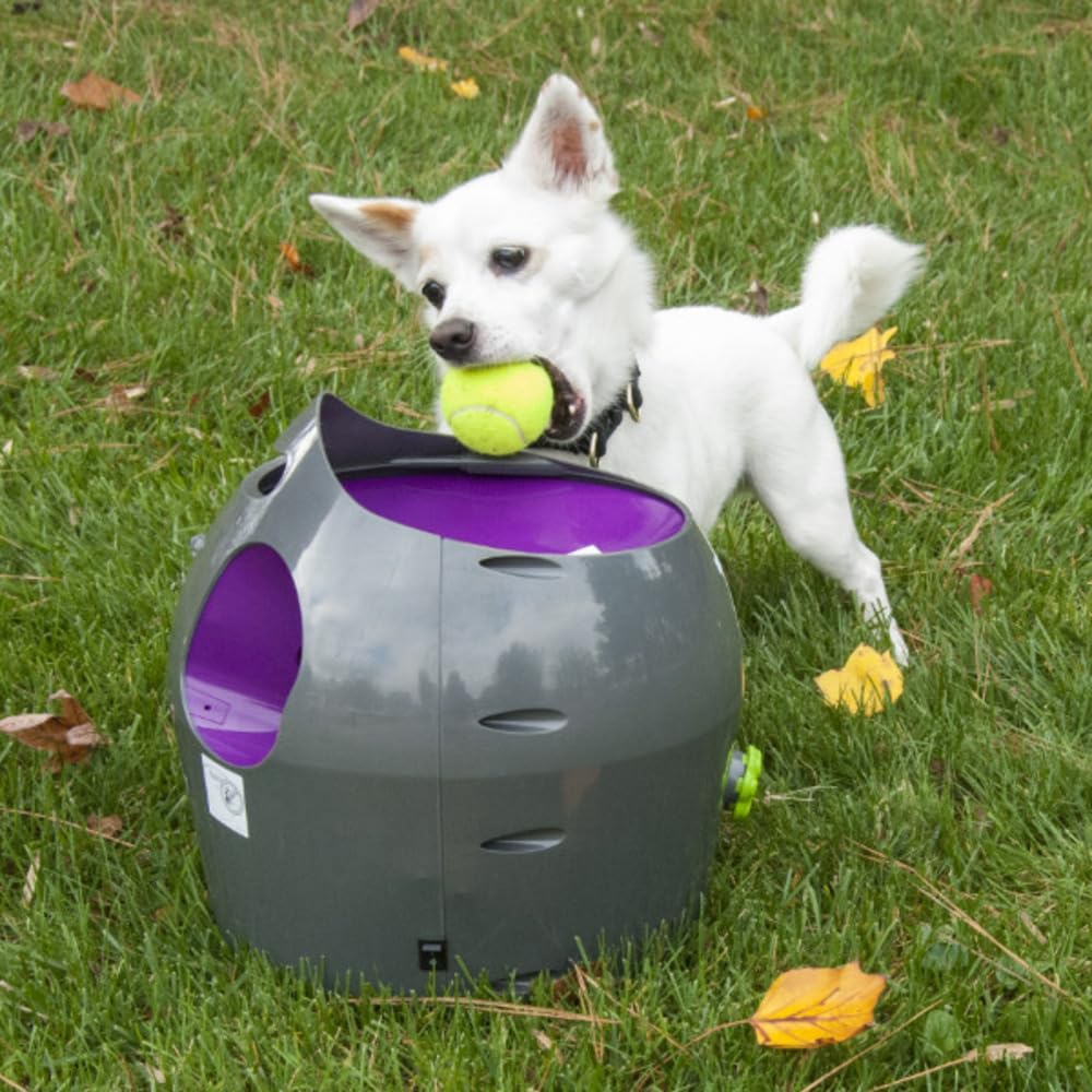 PetSafe Automatischer Ballwerfer | Interaktiv, Einstellbare Reichweite, Bewegungssensoren, Automatischer Schlafmodus, Indoor & Outdoor