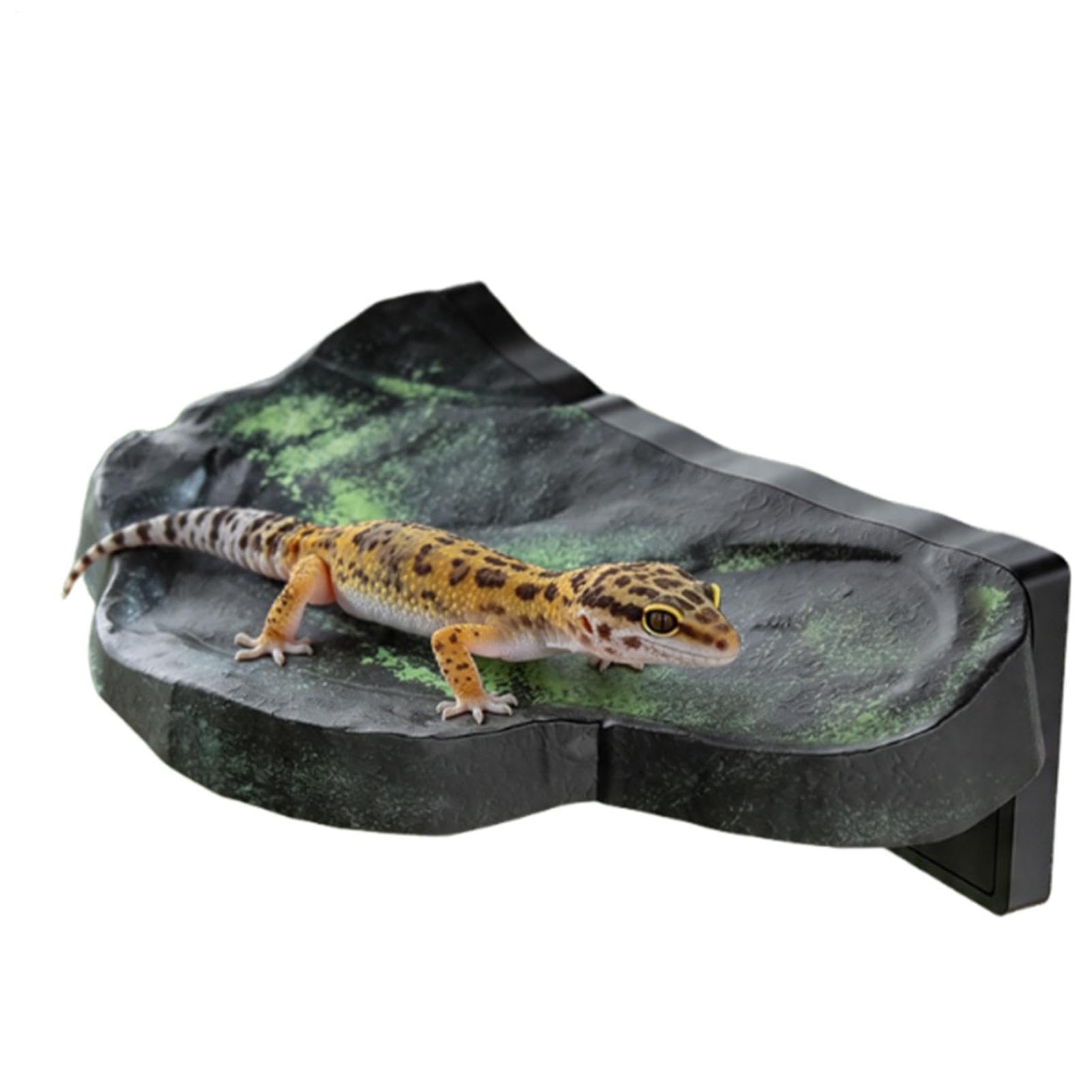 Campana de hábitat para reptiles con imanes y rampa flotante de lagartos