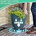 sanyi Plant Caddy with Wheels, 2 Pack 8-21