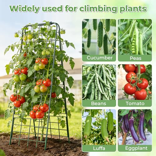 Treillis de concombre robuste idéal pour aménager un potager de balcon - 8