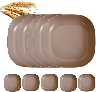 10 pcs 5.9 Inch Square Wheats Straw Plates Set Unbreakable Deep Dinner Plate Lightweight Home and Kitchen Reusable Use Brown