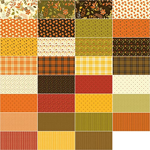 Riley Blake Designs Sandy Gervais Awesome Autumn 10'' Stacker 42 10-Inch Squares Layer Cake 10-12170-42 #TOP1