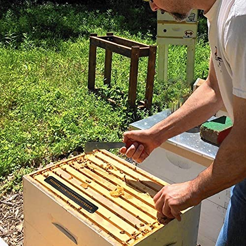 Rayfarmo Beehive Beekeeping Tools Case For Beekeeping Supplies,Small Hive Beekeeping Tools,12 Pack #TOP2