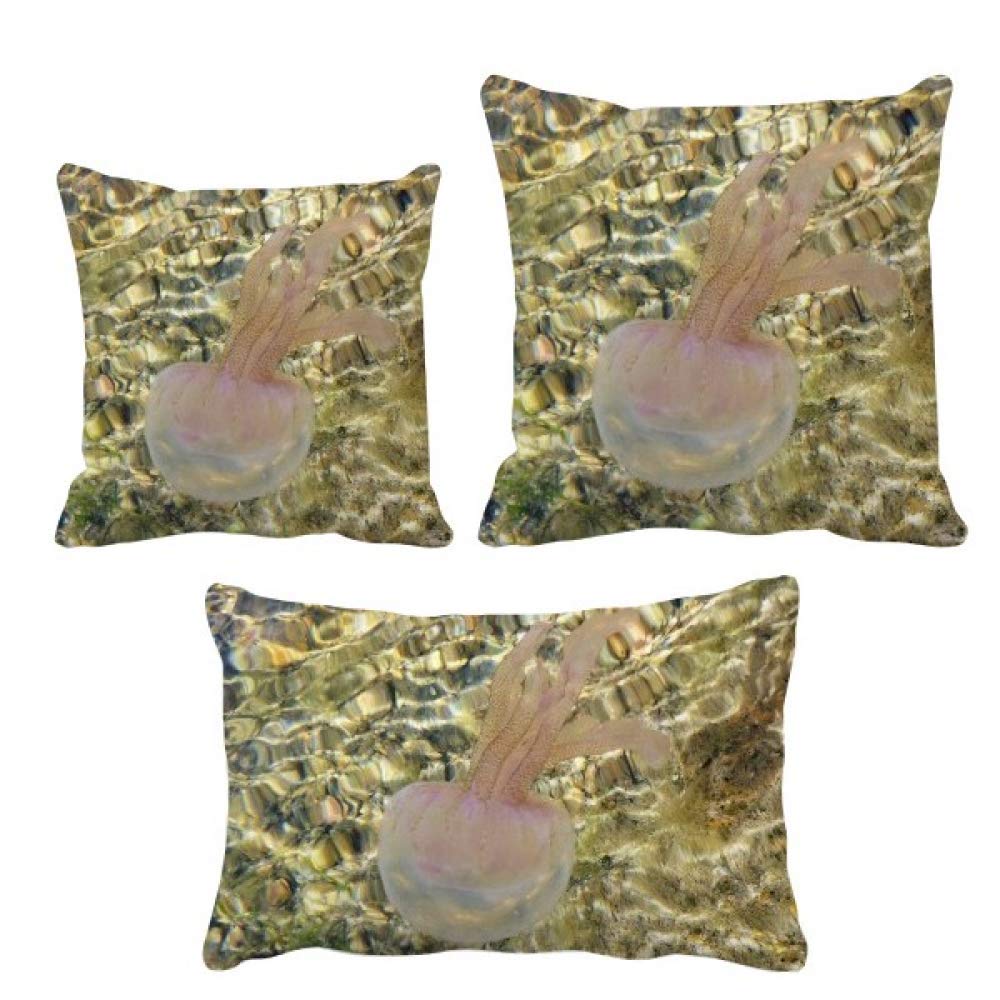 Coussin méduse océan et sa housse déco pour canapé DIYthinker