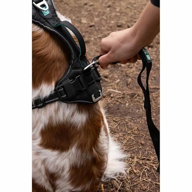 Foto 2 de 6 de CANI C GEAR, Arnés, Modelo SYMBIOZ, Color Negro/Turquesa, Forro de Neopreno antiirritaciones