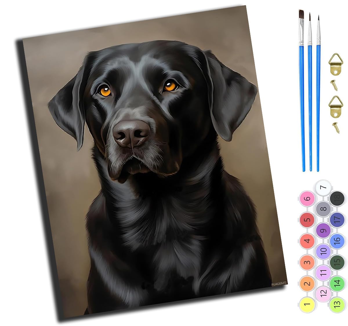 XIAOYOUQIAN Pet Dog Portrait Black Labrador,Paint by Numbers Kit for Adults,Adults' Paint-by-Number Kits,Oil Painting for Wall Art,20X16Inch，-Frameless