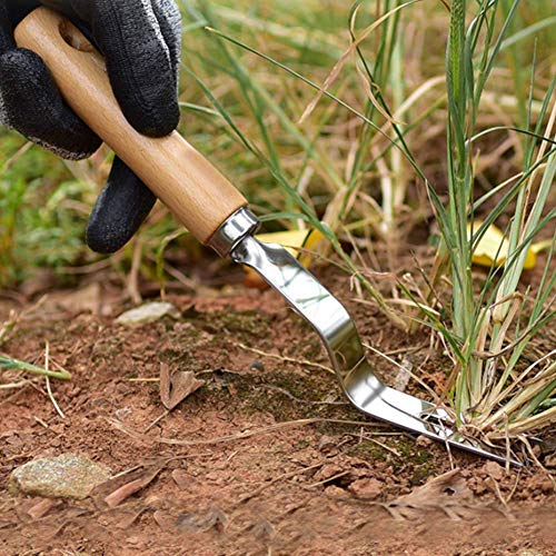Lai-LYQ Stainless Steel Weeding Digger Courtyard Lawn Handle Shovel Fork Garden Tool