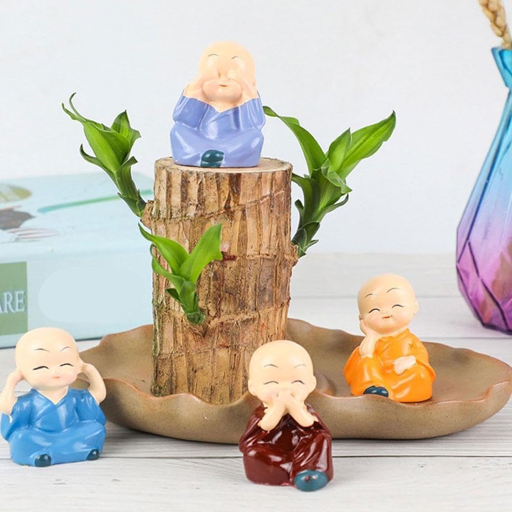 Plante De Bambou Porte-Bonheur D'Intérieur - Souche D'Arbre