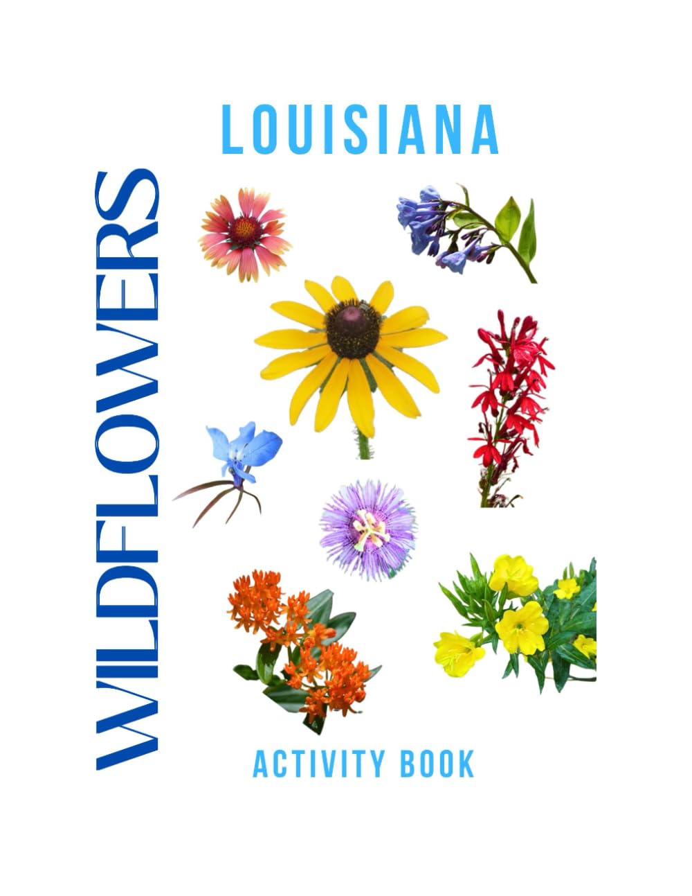 Wildflowers of Louisiana Activity Book: A Young Explorer’s Field Guide to the Native Blooms of Louisiana (Louisiana Nature Explorer Series)