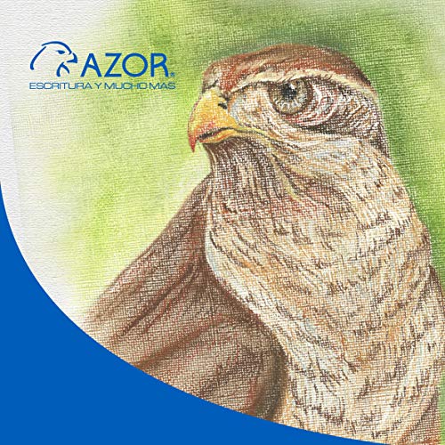 Opiniones y reviews de Tizas . 9 Tizas marca AZOR (3)