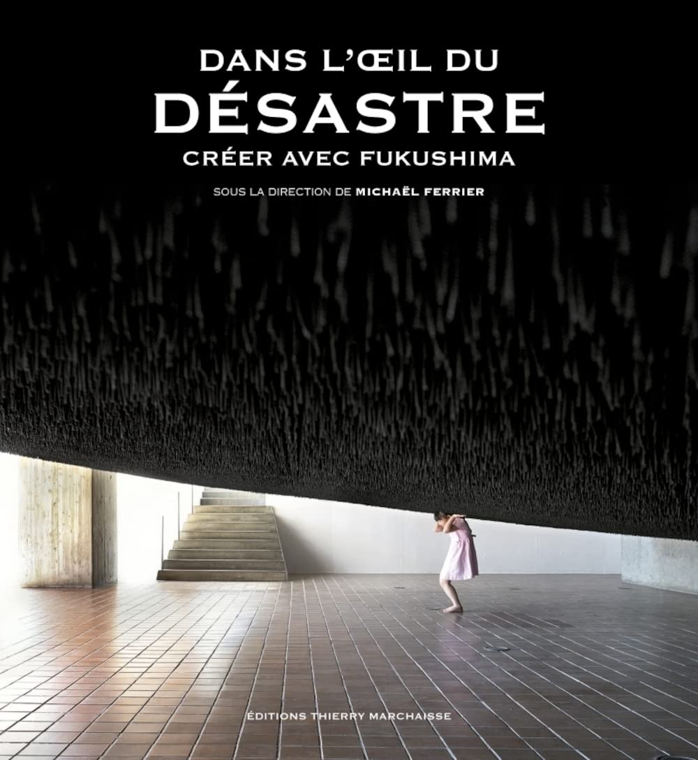 Dans l'oeil du désastre Créer avec Fukushima livre essai art et résilience