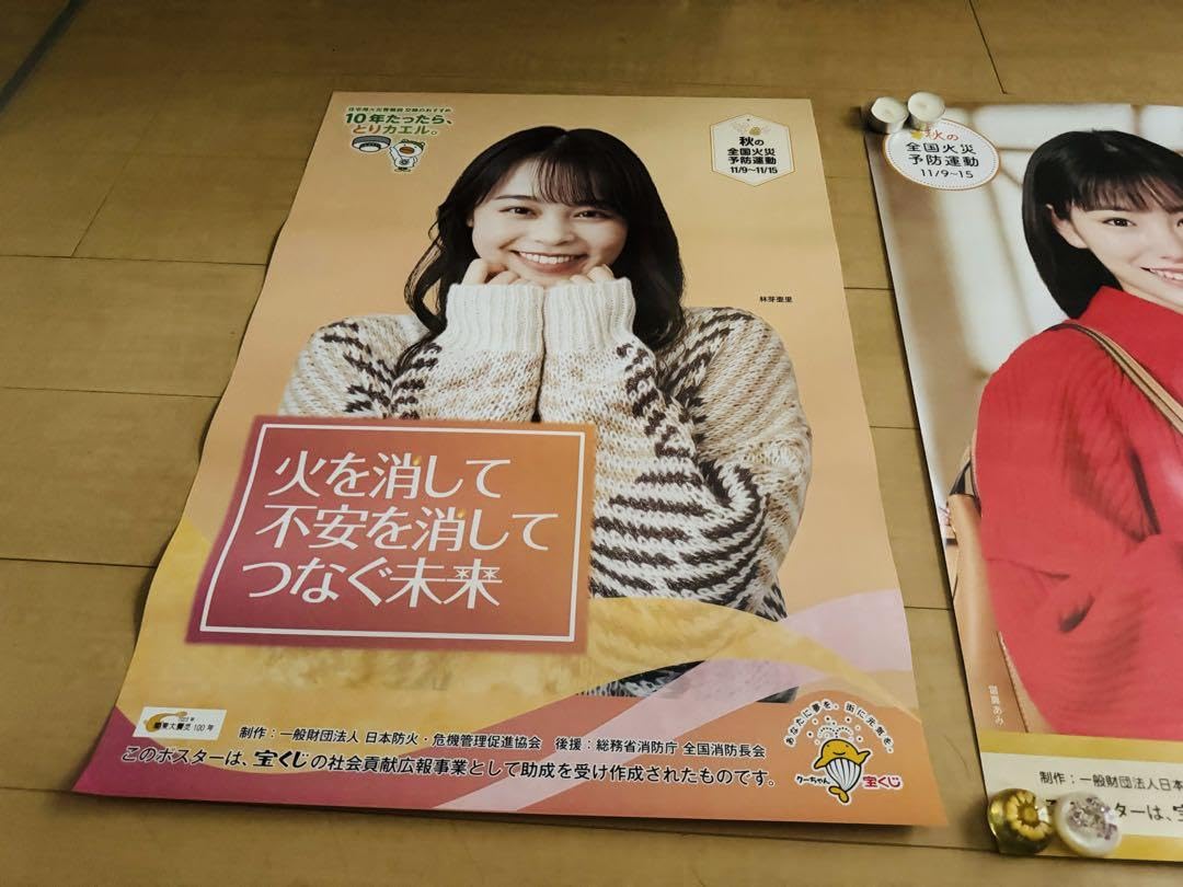 Blackish House キャンペーン 当選 ポスター 乃亜 非売品 Blackish House キャンペーン 当選 ポスター 乃亜 非売品