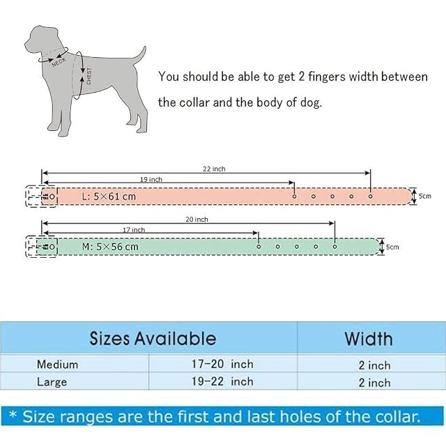 Foto 2 de 4 de haoyueer Collar unisex de piel con tachuelas para perros medianos y grandes para Pitbull Doberman, talla M, L