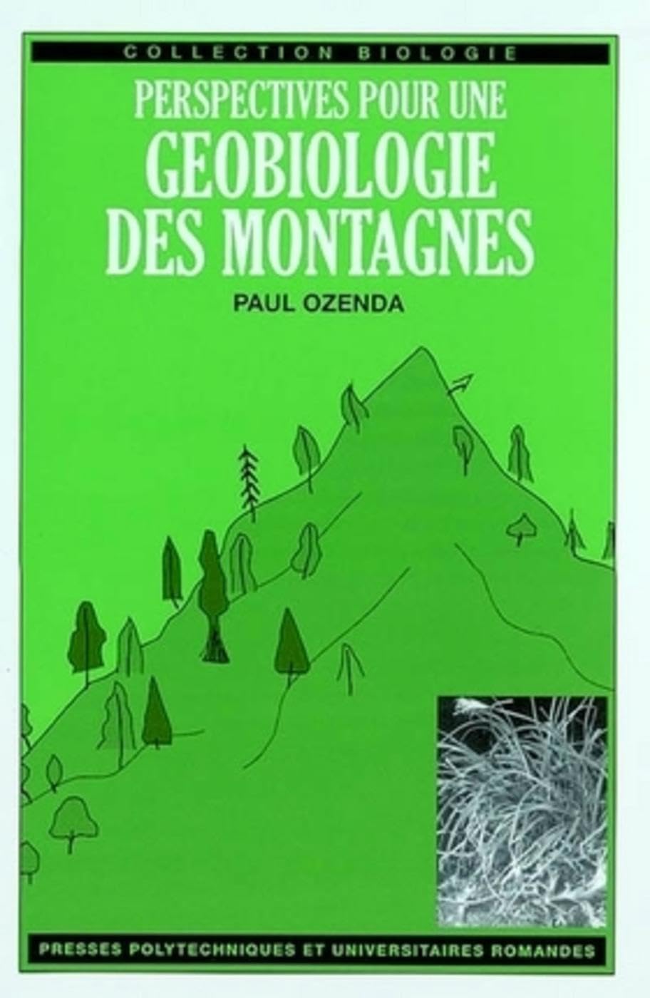Géobiologie des montagnes : le guide idéal pour enrichir vos randonnées et nuits en refuge