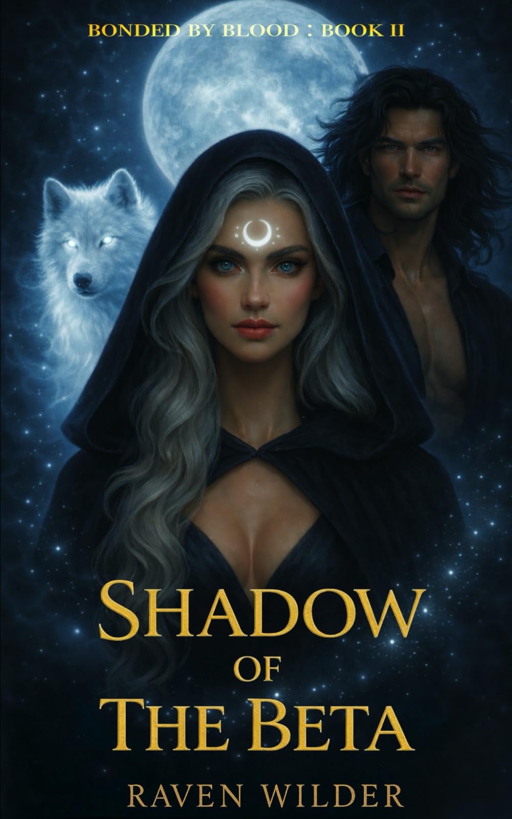 Shadow of The Beta: A Steamy Paranormal Romance (Bonded By Blood)
