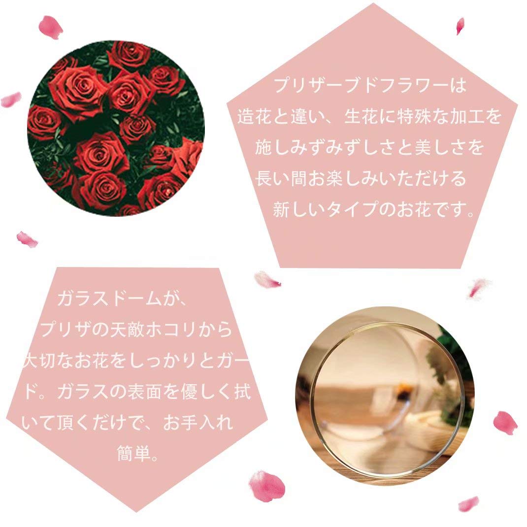 Amazon｜プリザーブドフラワー 枯れない花 ドライフラワー バラ ロース 