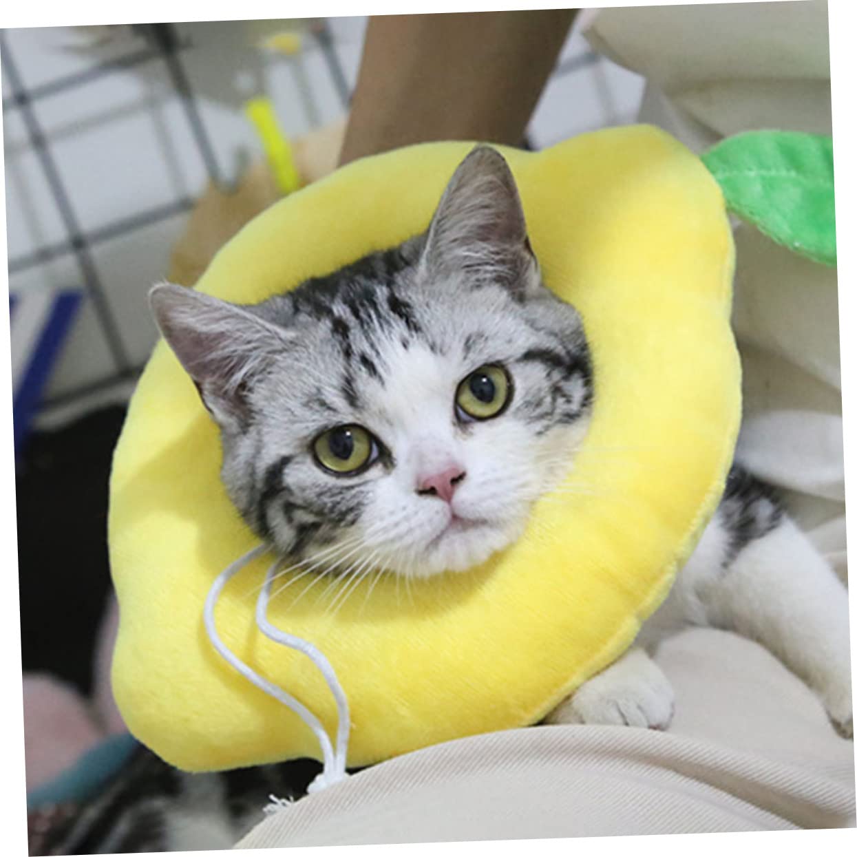 VANZACK 6pezzi Collare Protettivo Regolabile Per Gatti e Cani Cono Per Post-operazione Design Sicuro