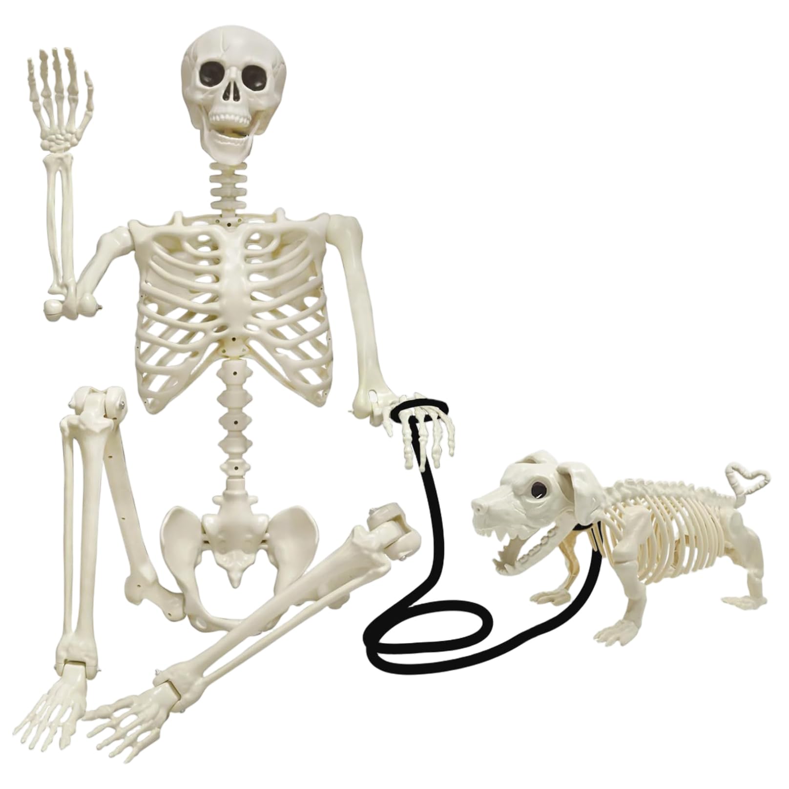 Squelette d'Halloween de 35 pouces et son chien pour maison hantee