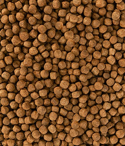 Dehner Lieblinge Hundefutter, Trockenfutter zuckerfrei, für ausgewachsene Hunde, Geflügel / Wild / Fisch, 12 kg