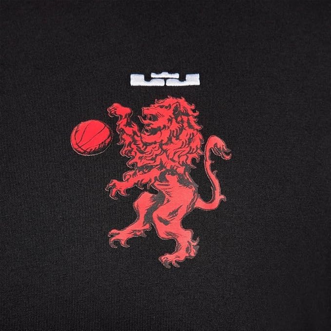 Nike Men's Lebron James Basketball Max90 T-Shirt4