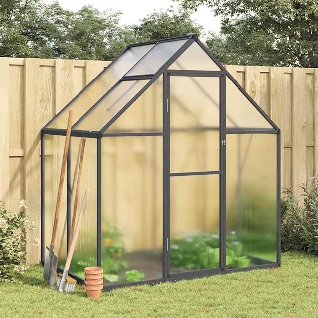 Refined Refined Gewächshaus mit Fundamentrahmen Pflanzenhaus mit Dachrinnensystem Flügeltür Treibhaus für Pflanzen Frühbeet Anthrazit 169x114x195 cm Alu — Gewächshäuser
