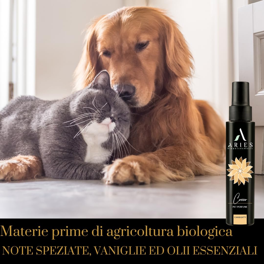 Parfum pour chiens longue durée à la noix de coco, spray déodorant pour chiens et chats, doux et intense