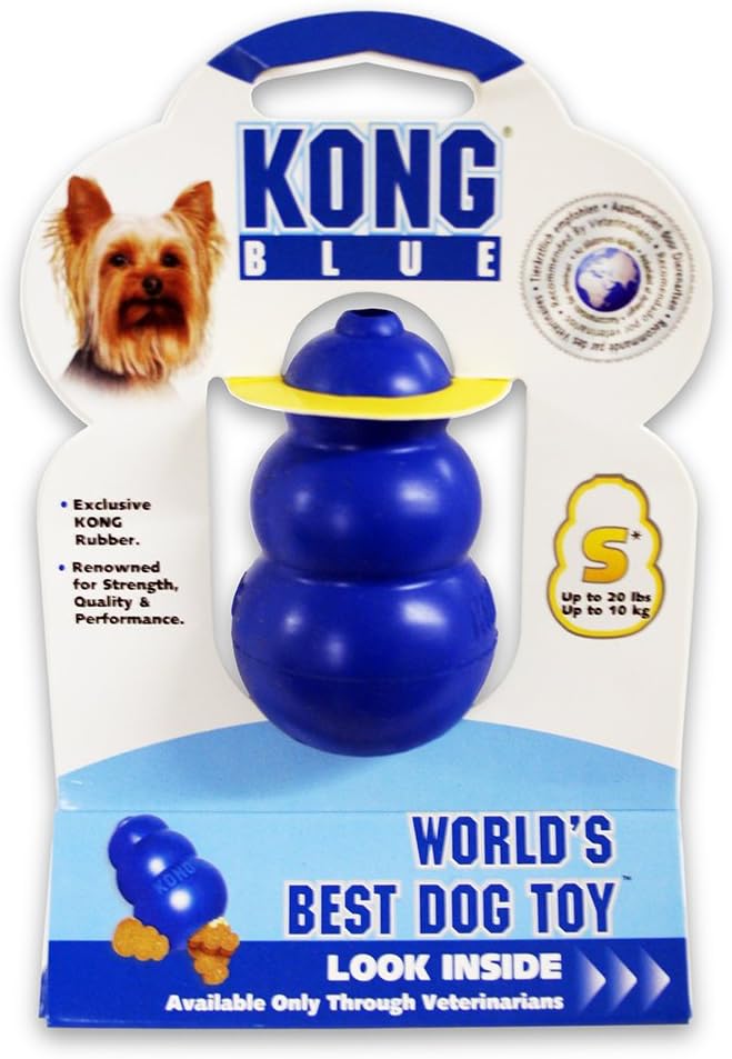 Kong License KC840 14 Toy, Small, Blue