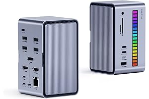 Hagibis USB-C Hub with Dual Hard Drive Enclosure