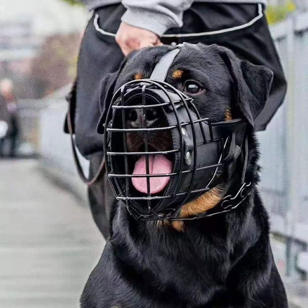 Bozal ajustable de metal y cuero para perro pastor alemán, doberman, rottweiler y otros perros medianos y grandes, ideal para adiestramiento, negro