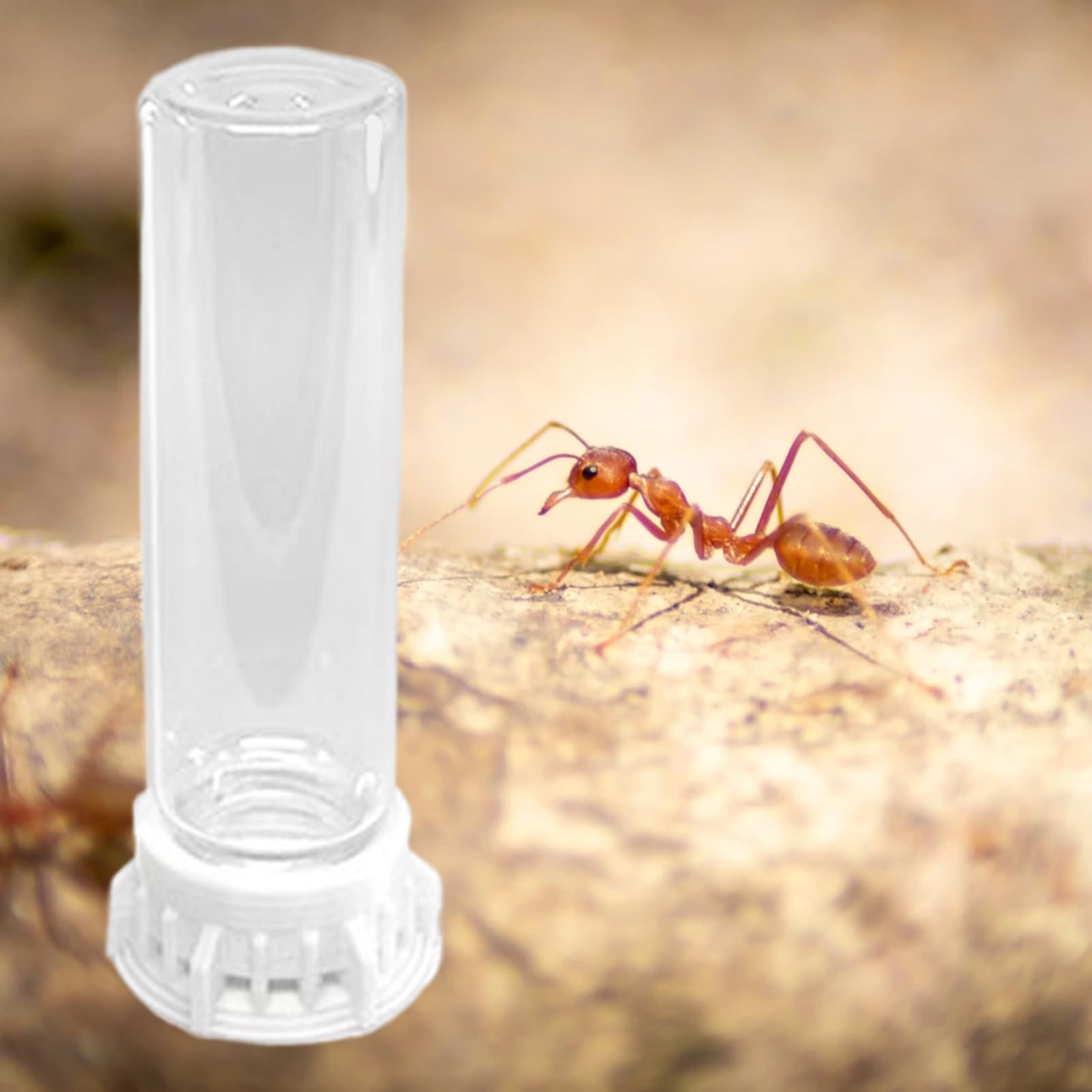 Bebedero para Hormigas | Bebederos de Vidrio para Mascotas,Estación Antideslizante, Accesorios Resistente y Portátil para Hidratación en Interiores