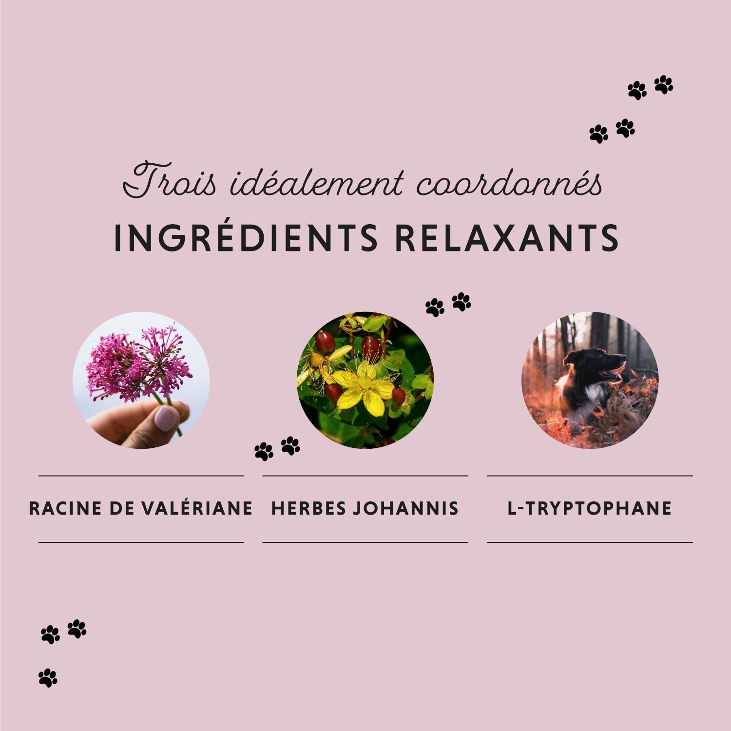 Anti Stress Chien Chiens - Comprimés de Bien-Etre calmant pour Chien avec valériane, millepertuis, L-tryptophane - 120 comprimés pour l'Anxiété & pour Le Voyage - complement Alimentaire Chien