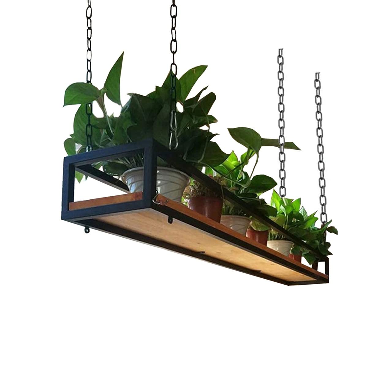 Paniers suspendus de plafond pour plantes : la solution gain de place pour petits appartements